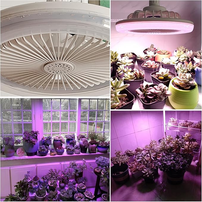Full Spectrum Lamp with Integrated Circulating Fan Timer Swag Hanging Boho Plant Growing Light by Remote Control Plug-in Hemp Rope Cord Dimmable for Indoor Planting Portable 30W