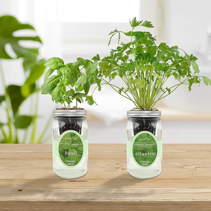 2-Pack Hydroponic Mason Jar Herb Garden Kit Indoor Herb Garden Self-Watering Starter Kit (BasilCilantro)
