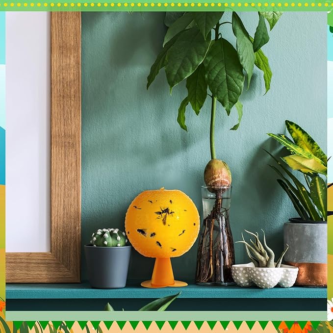 Qualirey 10 Set Fruit Fly Sticky Trap Balls Fungus Gnat Killer Bug Catcher Gnat Trap Insect Traps Indoor Outdoor Plant Fly Sticky Traps Ball for Fungus Plants (Orange)
