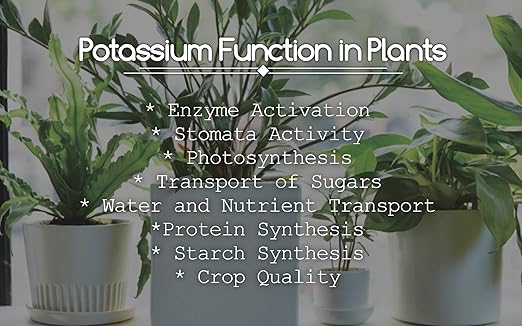 Greenway Biotech Inc. Monopotassium Phosphate Fertilizer 0-52-34-100% Water Soluble Hydroponics for Root Strength - Increase Yield and Blooming - High Purity Plant Nutrient Formula - 5 Pounds