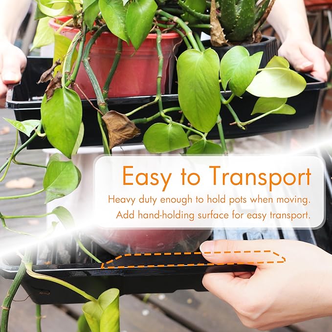 Gardzen 10 Pack Seed Trays Reusable Plant Grow Trays Ideal for Seed Starting Microgreens Indoor Gardening and Greenhouse Plant Nurseries - No Drain Holes 15.7 x 11.6