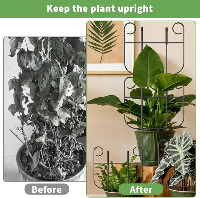 Garden Trellis for Climbing Plant Adjustable Height Tower Potted Cages for Flowers Fruits Vegetable Vines Indoor &amp Outdoor Rustproof Metal Pothos Plant Climbing Support