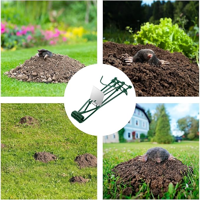 Metal Mole &amp Gopher Trap - Reusable Tactical Mole Gopher Killer Outdoor Vole Traps for Voles Gophers Rats Ground Moles - Yard Garden Lawn Protection Pack of 8 Green