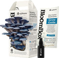 BloomBox Blue Oyster Mushroom Grow Kit – Ready to Fruit Indoor Gardening Gift – Organic Spawn Log for Fresh Fungi in 10 Days – Unique DIY STEM Science Project for Kids &amp Adults – Vegan Meat Substi