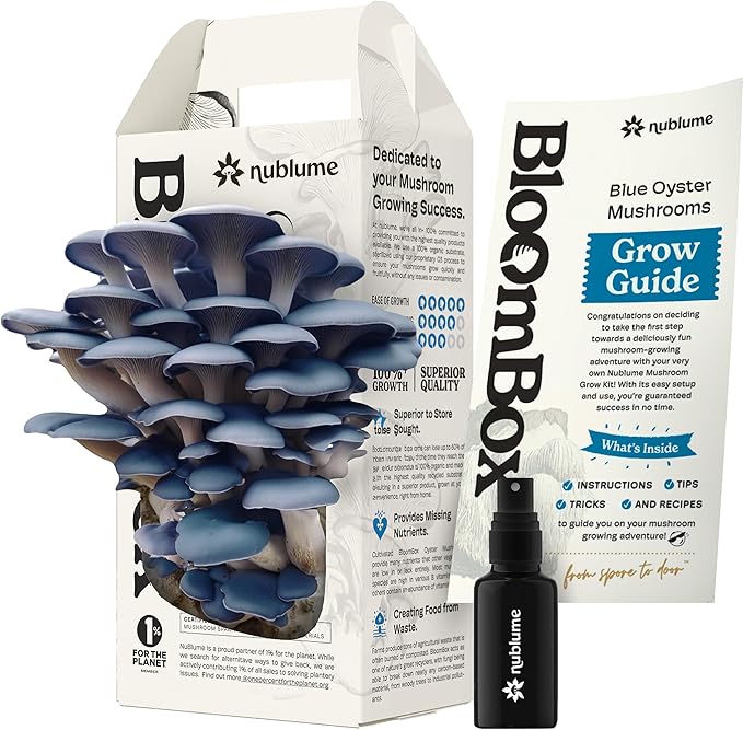 BloomBox Blue Oyster Mushroom Grow Kit – Ready to Fruit Indoor Gardening Gift – Organic Spawn Log for Fresh Fungi in 10 Days – Unique DIY STEM Science Project for Kids &amp Adults – Vegan Meat Substi
