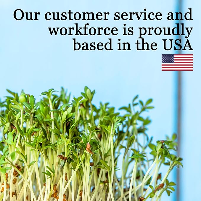 10-Pack 1020 Garden Growing Trays without Drain Holes - 10 x 20 Plastic Plant Trays No Holes - Wheatgrass Sprouting Tray Microgreens Seed Tray Hydroponic Trays Nursery Flats Greenhouse Supplies