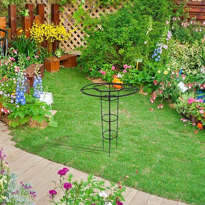 BESPORTBLE Umbrella Shaped Plant Support Trellis for Climbing Vines and Roses Easy Assembly No Tools Needed Outdoor Garden Climbing Frame Versatile Plant Protection Device Black Double Ring