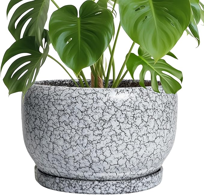 SQOWL Ceramic Planters - 10 Inch Ceramic Flower Pot with Drainage Hole and Saucer Decorative Plant Pot Indoor Round Large Planter Outdoor Bathroom Decor Gifts for Plant Lovers Black and White