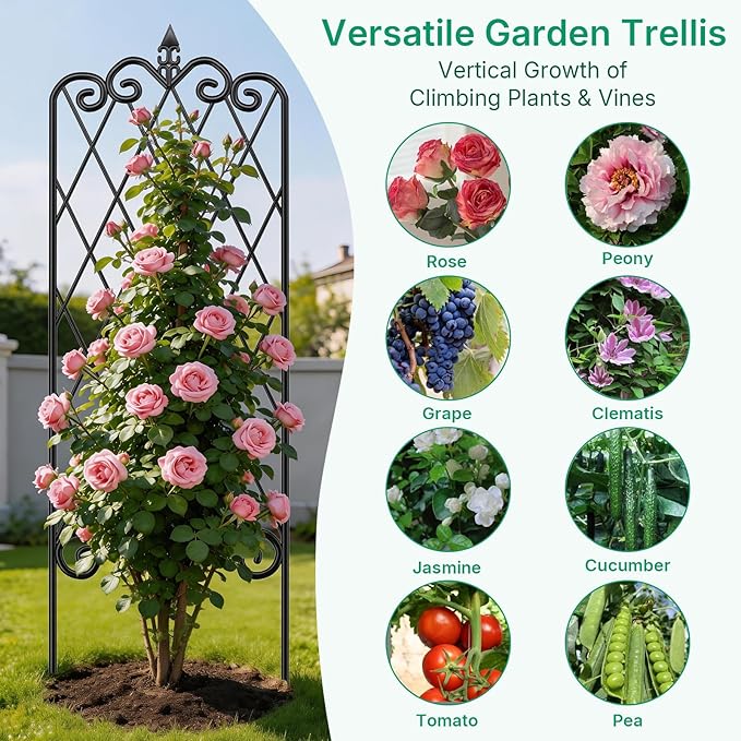 AMAGABELI GARDEN &amp HOME 4 Pack 47” x 16” Garden Trellis for Climbing Plants Outdoor Metal Garden Fencing Decorative Plant Trellis Vegetables and Rose Trellis for Ivy Cucumbers Black