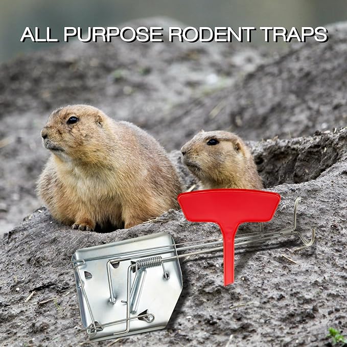 Qualirey 8 Pcs Outdoor Gopher Traps Easy Set Mole Mouse Gophers Vole Trap Bulk Mole Traps Weather Resistant Gopher Killer Killer Galvanized Steel Reusable Animal Trap 8 Markers for Lawn 12 x 5 Inches