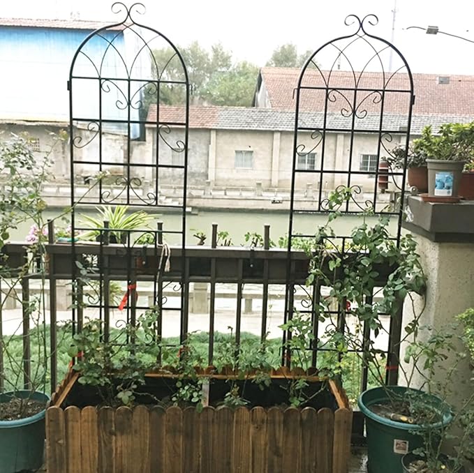 Metal Garden Trellis Rustproof Arched Fence for Climbing Plants Outdoor Flowers Vegetables Elegant Flower Trellis for Garden Decor Wall Brackets Black &amp White 71 x 19.7 (Black 2 Pack)