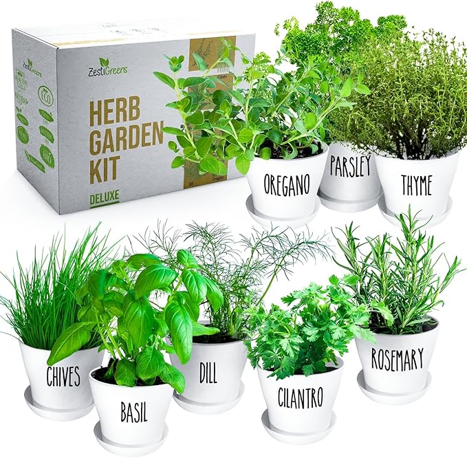 Deluxe Indoor &amp Outdoor Herb Garden Kit – 8 or the Most Popular Culinary Herbs with Pots &amp Soil for Windowsill or Patio Growing