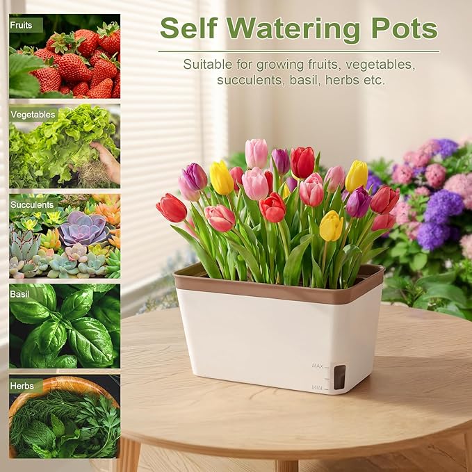 OurWarm Windowsill Herb Planter Box Set of 6 10.5 Inch Self Watering Pots for Indoor Plants Flower Box with Water Level Window Colorful Plastic Flower Pots &amp Planters for Herbs Vegetables Flo