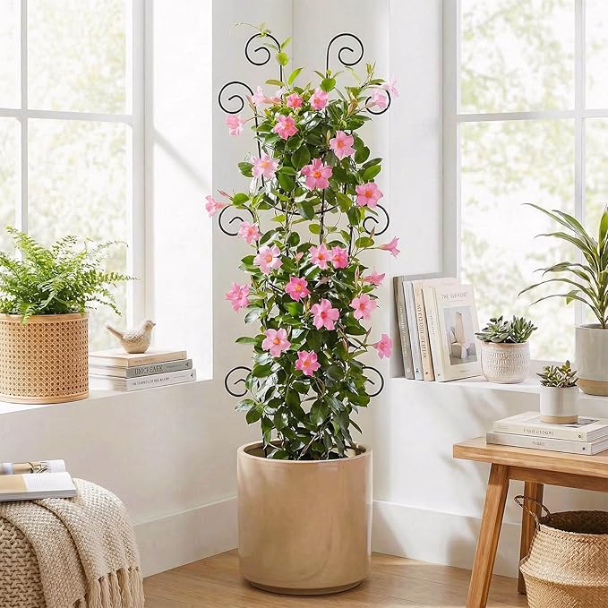4 Pack 43 Inch Metal Plant Trellis for Climbing Plants - Rustproof Garden Trellis for Large Potted Houseplants Sturdy Plant Support Indoor Outdoor for Monstera &amp Vines Home Decor