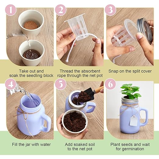 Vesici 6 Set Hydroponic Mason Garden Jar Kit Self Watering Herb Hydroponic Planter Starter Kit with Net Pot for Indoor Herbs Windowsill Garden Flower Plant Growing Germination