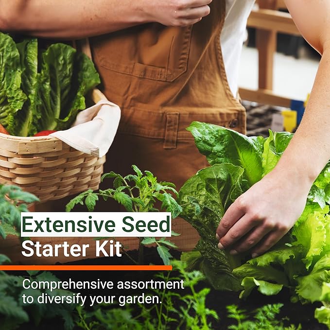 Open Seed Vault |15000 Heirloom Seeds | 32 Seed Types | Survival Seeds | 2026 Season | Non GMO Vegetable and Fruit Seeds | Planting Outdoor &amp Indoor Garden
