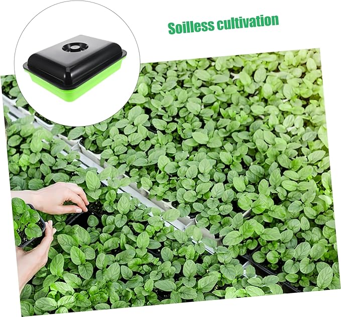 VICASKY Mason Jar Sprouting Kit Easy to Use Sprouter Tray with Sprouter for Soil Hydroponic Growing Compact Sprout Growing System for Spaces Cover