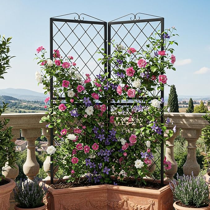 SUNYRISY 2Pack Metal Garden Trellis for Climbing Plants Outdoor 71x20in Metal Plant Support for Flowers Tomato Cucumber Rose Vegetable Garden Courtyards Lawns Decoration
