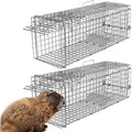 KOCASO 2 Pack Humane Animal Trap Outdoor Large Heavy Duty Folding Live Trap Catch Release Rodent Cage Collapsible Galvanized Wire Catcher Cage for Small Raccoons Beavers Groundhogs Armadillos