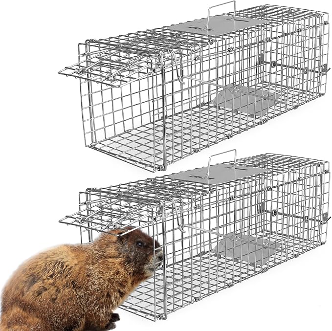 KOCASO 2 Pack Humane Animal Trap Outdoor Large Heavy Duty Folding Live Trap Catch Release Rodent Cage Collapsible Galvanized Wire Catcher Cage for Small Raccoons Beavers Groundhogs Armadillos