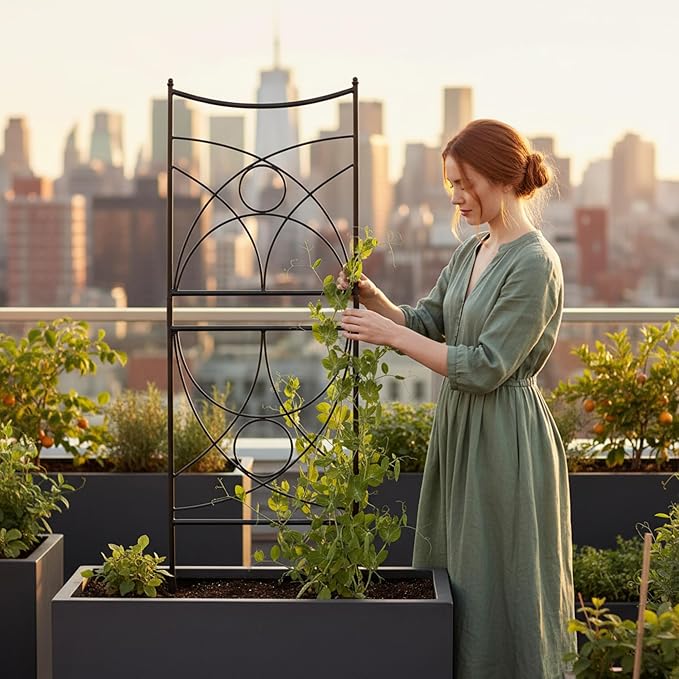 Fan Wrought Iron Garden Trellis 56 H x 38 W Climbing Plant Support for Roses Clematis Mandevilla Graphite Powder Coated