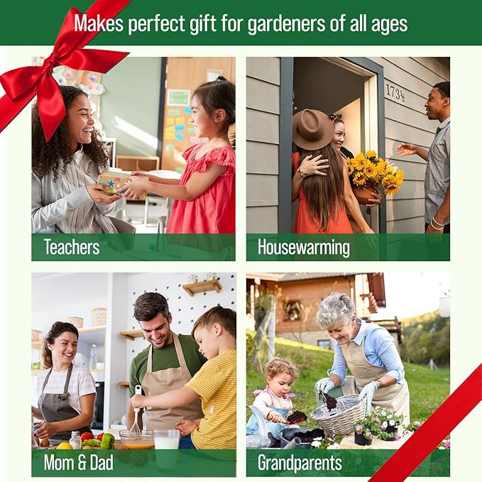 4 Herb Garden Kit with Grow Rings and Greenhouse Germination Domes – Certified Organic Herb Planter Kit – Gardening Gift for Mom Teachers Women and Men – Made in USA