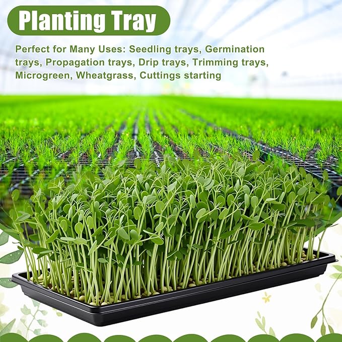 Vesici 20 Pack 1020 Seed Starting Tray Heavy Duty Plant Growing Flat Seedling for 72/128 Cell Plug Plant Nursery Tray No Hole Germination Transplant for Microgreens Gardening Greenhouse (L)