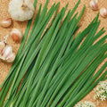 Organic Chives Garlic Herb Seed - 1/4 LB Bulk ~28000 Seeds - Non-GMO Open Pollinated Heirloom Vegetable Gardening Herb &amp Microgreens Seeds