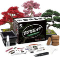 5 Bonsai Tree Kit Complete Plant Growing Tools Grow in Pot Indoor Bonsai Tree Starter Kit Great Home Gardening Potted Plants DIY Gift for Adults