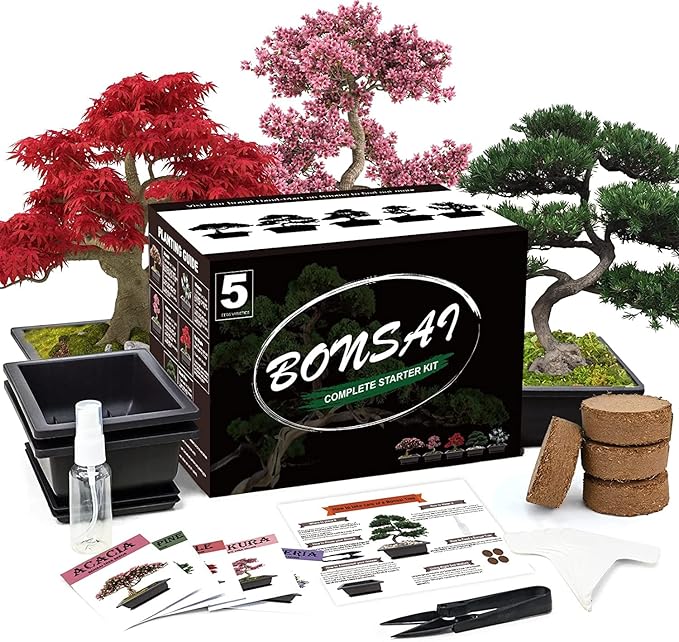 5 Bonsai Tree Kit Complete Plant Growing Tools Grow in Pot Indoor Bonsai Tree Starter Kit Great Home Gardening Potted Plants DIY Gift for Adults
