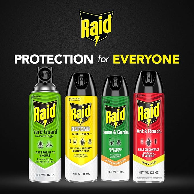 Raid House &amp Garden Insect Killer Spray Orange Scent 11 Ounce (Pack of 4)