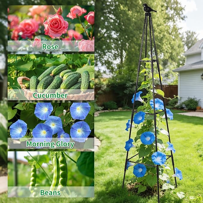 Garden Obelisk Trellis for Climbing Plants Outdoor 67 inch Tall Rose Trellis Climbing Plants Support for Potted Light Vine Flower Vegetable Cucumber Trellis Raised Garden Bed Black 2PCS