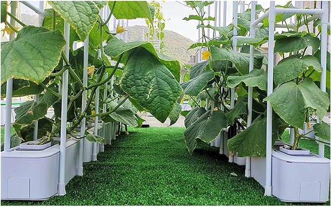 Hydroponics Growing System Smart Hydroponics Growing System with Controller Auto Remind Self-Watering Planter 60 Climbing Trellis for Cucumber Tomato Hydroponic Tower (2 White)