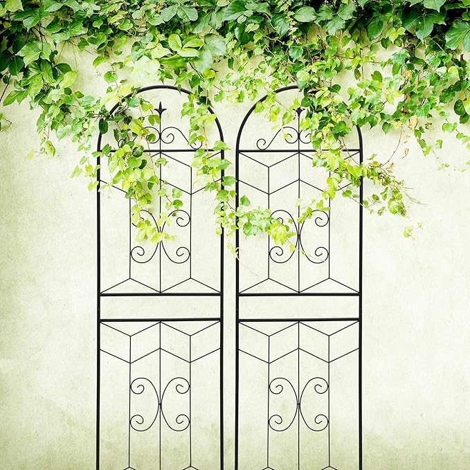 2 Pack Large Garden Trellis Heavy Duty Rustproof Iron Plant Trellis for Potted Plant Support Metal Climbing Rose Trellis Vine Vegetable Cucumber Black -71 H x 19.7 W