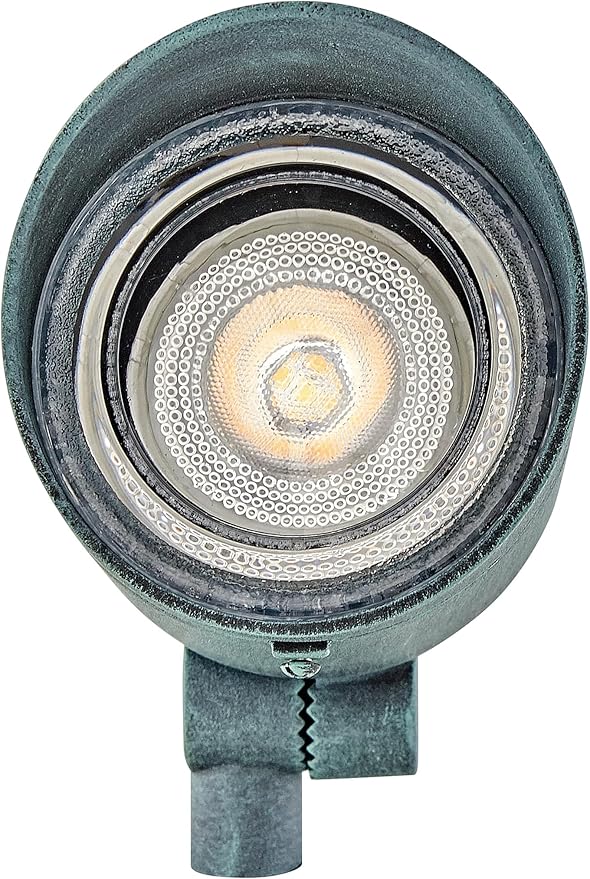 Hinkley 120V LED Accent Spot Light Convex Clear Tempered Glass Traditional Style Aluminum Verde Finish