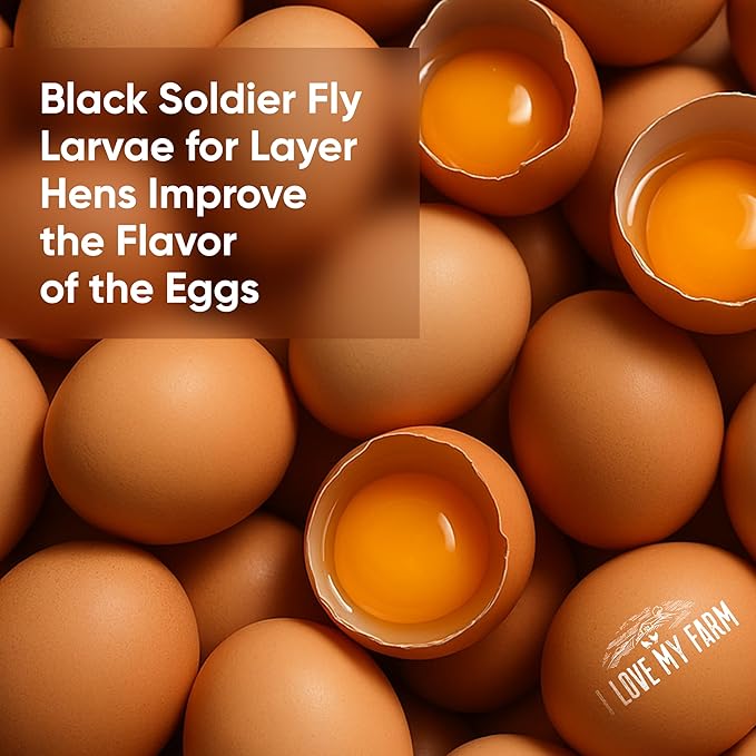 I LOVE MY FARM 5 Lb Dried Black Soldier Fly Larvae More Calcium Than Dried Mealworms High Protein Chicken Feed Poultry Treat BSF Larvae