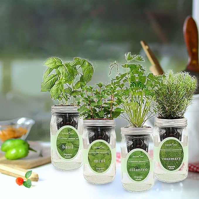 Hydroponic Herb Growing Kit Set Self-Watering Mason Jar Herb Garden Starter Kit Indoor Grow 4 Kinds of Herbs from Seeds (Basil Mint Cilantro &amp Rosemary)