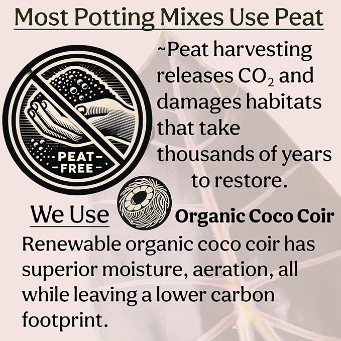 Craft Organic Houseplant Potting Mix Elite House Plant Soil Chunky Well Draining Potting Soil for All Indoor Plants Tropical Plants &amp Flowers Sustainable &amp Peat Free Less Prone to Gnats