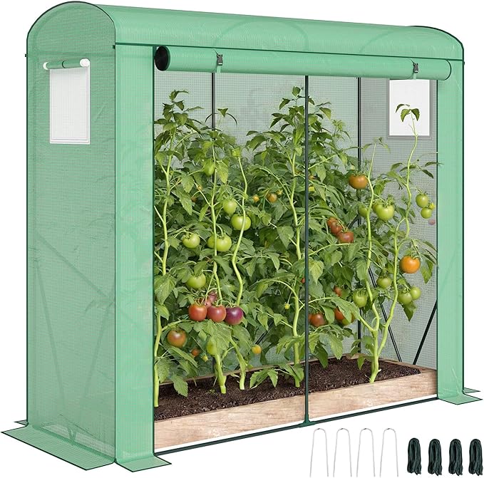 Outsunny Mini Greenhouse Portable Greenhouse with Roll-Up Door and 2 Mesh Windows Small Green House with PE Cover for Garden Patio Lawn 78.7 x 29.5 x 74 Green