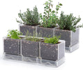 D'vine Dev Herb Garden Planter Set Plastic Plant Pots with Drainage and Saucer Indoor Succulent Cactus Vegetable Pot for Windowsill Garden Balcony Clear Set of 2 76-V-D-2