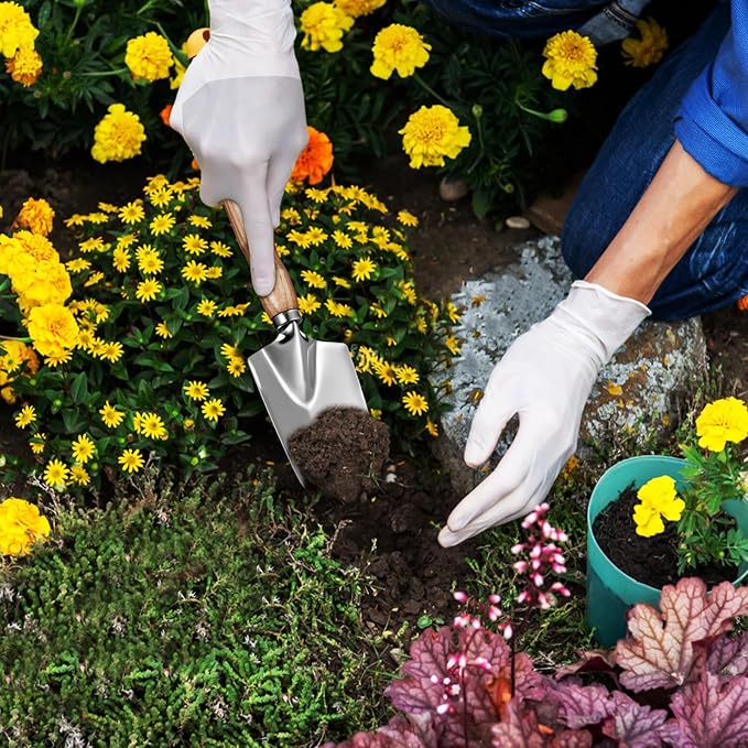 Ciieeo Garden Tool Set for Outdoor Gardening 5pcs Ash Wood Handle and 430 Stainless Steel Hand Tools Kit Indoor and Outdoor Planting Trowel Set for Women and Men