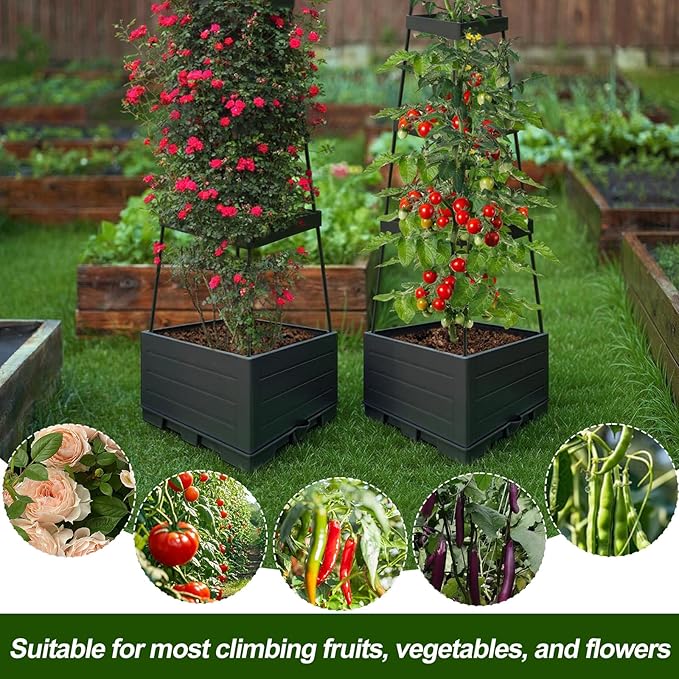 2Pack Raised Garden Bed Tomato Planter Box with Trellis Outdoor Tomato Cage Trellis for Garden Climbing Plants Outdoor Indoor 57 Self Watering Raised Beds for Gardening Tomatoes Vegetable Growing