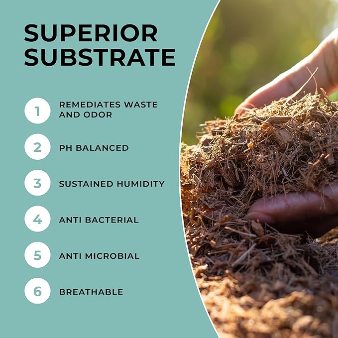 Mycelium Coco Coir Brick I Expandable Organic Coconut Fiber Substrate for Terrarium I Ideal for Reptiles Bedding Nesting &amp Burrowing I OMRI Certified &amp Non-GMO Soil Alternative 10lbs