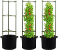 GENMOUS Tomato Cages with Grow Bags - 48 Inch Tomato Trellis for Raised Garden Bed 3-Pack Tomato Plant Support with 10 Gallon Plant Grow Bags Reusable and Height Adjustable