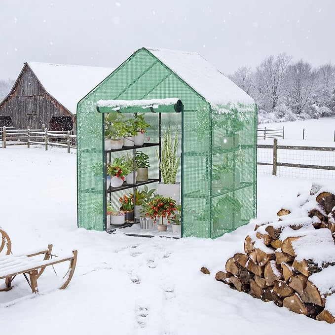Frienda 2 Pack Walk in Greenhouse Replacement Cover 56 x 56 x 76 PE Gardening Greenhouse Cover with Roll Up Zipper for Outdoor Cold Frost Protection Rain Wind Proof (Frame Not Included) (Green)