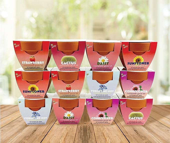 BUZZY Seeds Terracotta Mini Grow Pots 12-Pack – All-in-One Flower Kits with Growing Medium Sunflower Daisy Coneflower Strawberry Forget-Me-Not and Cactus Seeds DIY Plant Starter Collection