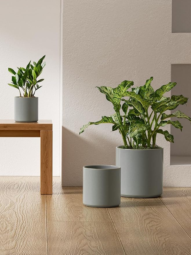 LE TAUCI Ceramic Pots for Plants 10/8/6 Inch Indoor Planters with Draiange Hole Silicone Plug &amp Mesh Pad Modern Minimalist Pots for Home Office Set of 3 Glossy Mist Gray