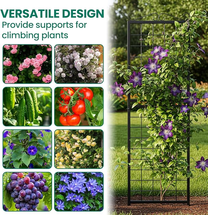 DoCred 2 Pack Garden Trellis for Climbing Plants 71 Inch Metal Plant Trellis for Plant Support Large Decorative Outdoor Trellis for Climbing Vegetable Flower Rose Vine Cucumber Black Square Grid