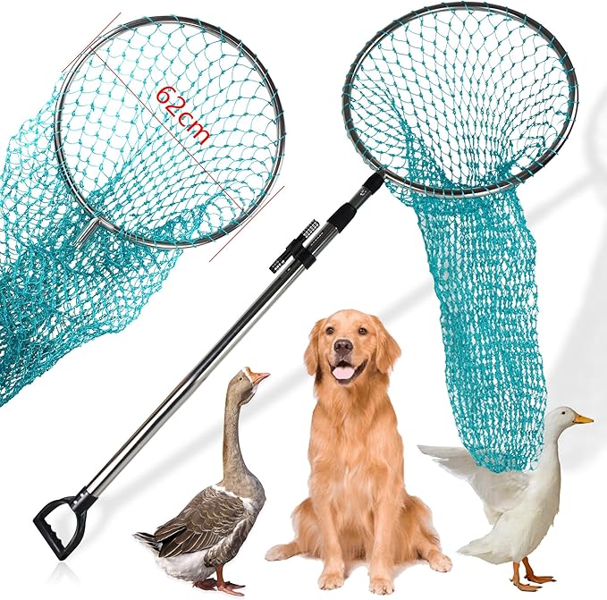 Dog Catch Net Animal Control Net Poultry Catching Trap Tool Length Adjustable for Cat Pigeon and Others (42~70 Handle with 24.4 Net Opening) (Stainless Steel Natural - Large)