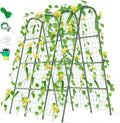 Miory Cucumber Trellis U Shape Trellis for Raised Bed Garden Arch Trellis for Climbing Plants Outdoor Plant Support for Vegetables Vines Steel with PE Coated (48 Lx32 Wx63 H)